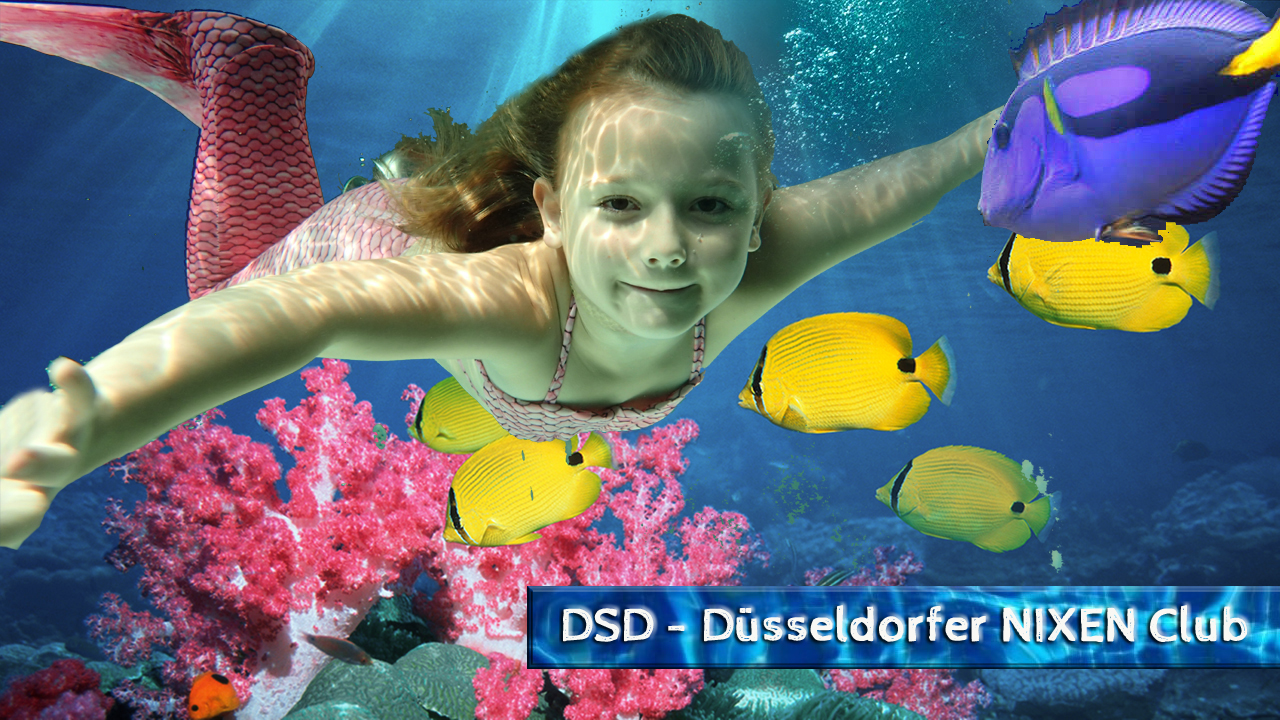 Düsseldorfer Schwimmschule